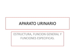 APARATO URINARIO

ESTRUCTURA, FUNCION GENERAL Y
    FUNCIONES ESPECIFICAS.
 