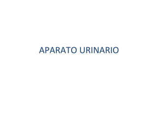 APARATO URINARIO
 