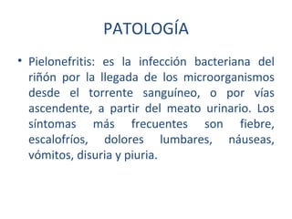 PATOLOGÍA
• Pielonefritis: es la infección bacteriana del
  riñón por la llegada de los microorganismos
  desde el torrente sanguíneo, o por vías
  ascendente, a partir del meato urinario. Los
  síntomas más frecuentes son fiebre,
  escalofríos, dolores lumbares, náuseas,
  vómitos, disuria y piuria.
 