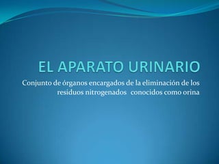 Conjunto de órganos encargados de la eliminación de los
          residuos nitrogenados conocidos como orina
 