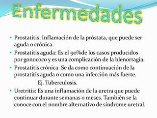  Prostatitis: Inflamación de la próstata, que puede ser
  aguda o crónica.
 Prostatitis aguda: Es el 90%de los casos producidos
  por gonococo y es una complicación de la blenorragia.
 Prostatitis crónica: Se da como continuación de la
  prostatitis aguda o como una infección más fuerte.
             Ej. Tuberculosis.
 Uretritis: Es una inflamación de la uretra que puede
  continuar durante semanas o meses. También se la
  conoce con el nombre alternativo de síndrome uretral.
 
