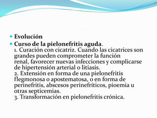  Evolución
 Curso de la pielonefritis aguda.
  1. Curación con cicatriz. Cuando las cicatrices son
  grandes pueden comprometer la función
  renal, favorecer nuevas infecciones y complicarse
 de hipertensión arterial o litiasis.
 2. Extensión en forma de una pielonefritis
 flegmonosa o apostematosa, o en forma de
 perinefritis, abscesos perinefríticos, pioemia u
 otras septicemias.
 3. Transformación en pielonefritis crónica.
 
