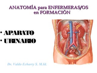ANATOMÍA para ENFERMERAS/OS
         en FORMACIÓN



• APARATO
• URINARIO


  Dr. Valdo Echarry S. M.Id.
 