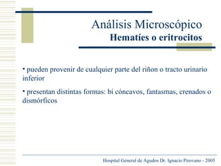 Análisis Microscópico
Hematíes o eritrocitos
• pueden provenir de cualquier parte del riñon o tracto urinario
inferior
• presentan distintas formas: bi cóncavos, fantasmas, crenados o
dismórficos

Hospital General de Agudos Dr. Ignacio Pirovano - 2005

 