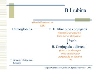 Bilirubina
(Desdoblamiento en
SER)

Hemoglobina

B. libre o no conjugada
(Insoluble en agua no
filtra por el glomérulo)
hígado

B. Conjugada o directa

(*) procesos obstructivos
hepatitis

(filtra y se libera por
orina cuando está
aumentada en sangre)
(*)
Hospital General de Agudos Dr. Ignacio Pirovano - 2005

 