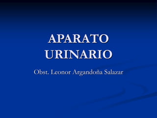 APARATO
URINARIO
Obst. Leonor Argandoña Salazar
 