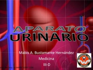 APARATO URINARIO Mabis A. Bustamante Hernández Medicina  III-D 