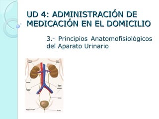 UD 4: ADMINISTRACIÓN DE
MEDICACIÓN EN EL DOMICILIO
    3.- Principios Anatomofisiológicos
    del Aparato Urinario
 