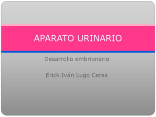 Desarrollo embrionario
Erick Iván Lugo Ceras
APARATO URINARIO
 