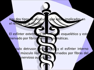Hay dos tipos de músculos que están implicados en
el reflejo de la micción:
• El esfínter externo es de músculo esquelético y esta
inervado por fibras nerviosas somáticas.
• Músculo detrusor de la vejiga y el esfínter interno
son de músculo liso y están inervados por fibras del
sistema nervioso autónomo.
 