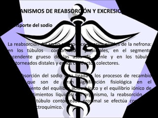 MECANISMOS DE REABSORCIÓN Y EXCRESIÓN DE IONES
Transporte del sodio
La reabsorción del sodio se produce a varios niveles de la nefrona:
en los túbulos contorneados proximales, en el segmento
ascendente grueso de las asas de Henle y en los túbulos
contorneados distales y en los conductos colectores.
La reabsorción del sodio esta ligada a los procesos de recambio
iónico, que son de gran significación fisiológica en el
mantenimiento del equilibro ácido-básico y el equilibrio iónico de
los compartimientos líquidos del organismo, la reabsorción del
sodio en el túbulo contorneado proximal se efectúa contra un
gradiente electroquímico.
 