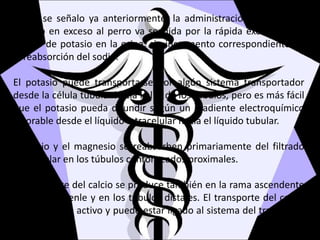 Como se señalo ya anteriormente, la administración de sales de
potasio en exceso al perro va seguida por la rápida excreción del
exceso de potasio en la orina, sin incremento correspondiente de
la reabsorción del sodio.
El potasio puede transportarse por algún sistema transportador
desde la célula tubular hacia la luz de los túbulos, pero es más fácil
que el potasio pueda difundir según un gradiente electroquímico
favorable desde el líquido intracelular hacia el líquido tubular.
El calcio y el magnesio se reabsorben primariamente del filtrado
glomerular en los túbulos contorneados proximales.
El transporte del calcio se produce también en la rama ascendente
del asa de Henle y en los túbulos distales. El transporte del calcio
es un proceso activo y puede estar ligado al sistema del transporte
del sodio.
 