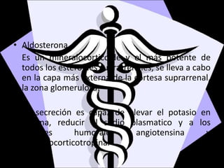 • Aldosterona
Es un mineralocorticoide y el más potente de
todos los esteroides suprarrenales, se lleva a cabo
en la capa más externa de la cortesa suprarrenal,
la zona glomerulosa.
Su secreción es capaz de elevar el potasio en
plasma, reducir el sodio plasmatico y a los
factores humorales angiotensina y
andrenocorticotropina.
 