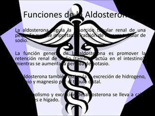 Funciones de la Aldosterona
La aldosterona regula la resorción tubular renal de una
pequeña aunque importante fracción de la carga tubular de
sodio.
La función general de la aldosterona es promover la
retención renal de sodio (también actúa en el intestino),
mientras se aumenta la perdida de potasio.
La aldosterona también estimula la excreción de hidrogeno,
amonio y magnesio por el túbulo distal.
El metabolismo y excreción de aldosterona se lleva a cabo
en riñones e hígado.
 