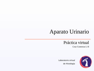 Aparato Urinario
Práctica virtual
Cruz Contreras L H
Laboratorio virtual
de Histología
 