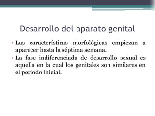 Desarrollo del aparato genital
• Las características morfológicas empiezan a
aparecer hasta la séptima semana.
• La fase indiferenciada de desarrollo sexual es
aquella en la cual los genitales son similares en
el periodo inicial.
 