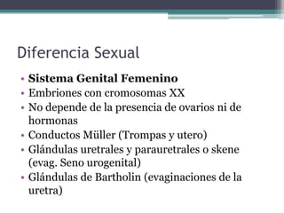 Diferencia Sexual
• Sistema Genital Femenino
• Embriones con cromosomas XX
• No depende de la presencia de ovarios ni de
hormonas
• Conductos Müller (Trompas y utero)
• Glándulas uretrales y parauretrales o skene
(evag. Seno urogenital)
• Glándulas de Bartholin (evaginaciones de la
uretra)
 