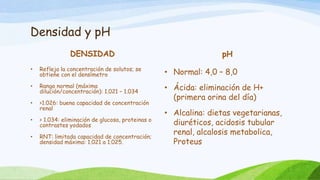 Densidad y pH
DENSIDAD
• Refleja la concentración de solutos; se
obtiene con el densímetro
• Rango normal (máxima
dilución/concentración): 1.021 – 1.034
• >1.026: buena capacidad de concentración
renal
• > 1.034: eliminación de glucosa, proteinas o
contrastes yodados
• RNT: limitada capacidad de concentración;
densidad máxima: 1.021 a 1.025.
pH
• Normal: 4,0 – 8,0
• Ácida: eliminación de H+
(primera orina del día)
• Alcalina: dietas vegetarianas,
diuréticos, acidosis tubular
renal, alcalosis metabolica,
Proteus
 