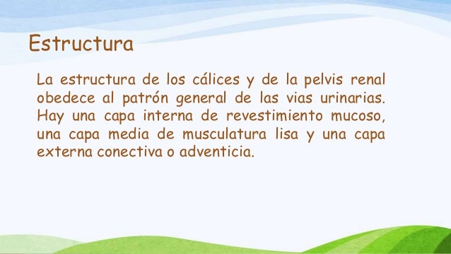 La máscara para la persona con el aceite de coco y