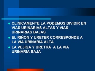  CLINICAMENTE LA PODEMOS DIVIDIR EN
VIAS URINARIAS ALTAS Y VIAS
URINARIAS BAJAS
 EL RIÑON Y URETER CORRESPONDE A
LA VIA URINARIA ALTA
 LA VEJIGA Y URETRA A LA VIA
URINARIA BAJA
 