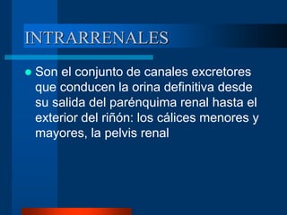 INTRARRENALES
 Son el conjunto de canales excretores
que conducen la orina definitiva desde
su salida del parénquima renal hasta el
exterior del riñón: los cálices menores y
mayores, la pelvis renal
 