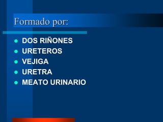 Formado por:
 DOS RIÑONES
 URETEROS
 VEJIGA
 URETRA
 MEATO URINARIO
 
