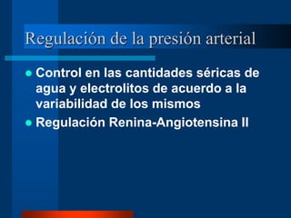 Regulación de la presión arterial
 Control en las cantidades séricas de
agua y electrolitos de acuerdo a la
variabilidad de los mismos
 Regulación Renina-Angiotensina II
 