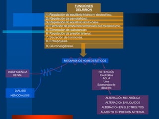 FUNCIONES
DELRIÑON
1. Regulación do equilibrio hídrico y electrolítico.
2. Regulación da osmolalidad.
3. Regulación do equilibrio ácido-base.
4. Excreción de productos terminales del metabolismo.
5. Eliminación de substancias
6. Regulación da presión arterial.
7. Secreción de hormonas.
8. Eritropoyesis
MECANISMOS HOMEOSTÁTICOS
INSUFICIENCIA
RENAL
RETENCIÓN
Electrolitos
AGUA
Urea
Substancias de
desecho
ALTERACIÓN METABÓLICA
ALTERACION EN LIQUIDOS
ALTERACION EN ELECTROLITOS
AUMENTO EN PRESION ARTERIAL
DIALISIS
HEMODIALISIS
9. Gluconeogénese.
 