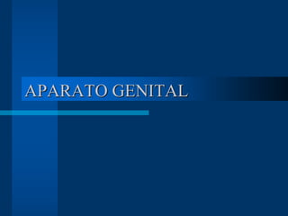 APARATO GENITAL
 