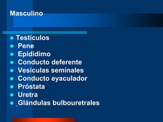 Masculino
 Testículos
 Pene
 Epidídimo
 Conducto deferente
 Vesículas seminales
 Conducto eyaculador
 Próstata
 Uretra
 Glándulas bulbouretrales
 