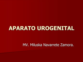 APARATO UROGENITAL
MV. Miluska Navarrete Zamora.
 