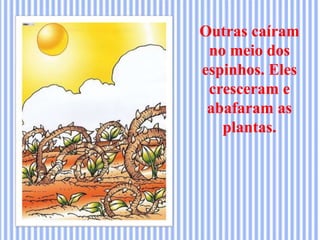 Outras caíram
no meio dos
espinhos. Eles
cresceram e
abafaram as
plantas.
 