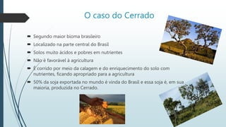 O caso do Cerrado
 Segundo maior bioma brasileiro
 Localizado na parte central do Brasil
 Solos muito ácidos e pobres em nutrientes
 Não é favorável à agricultura
 É corrido por meio da calagem e do enriquecimento do solo com
nutrientes, ficando apropriado para a agricultura
 50% da soja exportada no mundo é vinda do Brasil e essa soja é, em sua
maioria, produzida no Cerrado.
 