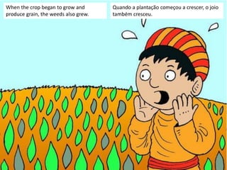 When the crop began to grow and
produce grain, the weeds also grew.
Quando a plantação começou a crescer, o joio
também cresceu.
 