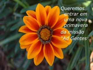 Queremos
 entrar em
 uma nova
 primavera
da missão
“Ad Gentes”.
 