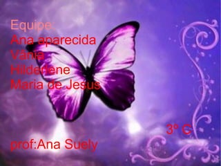 Equipe: Ana aparecida Vânia  Hilderlene Maria de Jesus      3º C prof:Ana Suely 