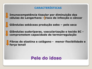CARACTERÍSTICAS Imunocompetência tissular por diminuição das células de Langerhans – risco de infecção e câncer	Glândulas sebáceas produção sebo – pele seca	Glândulas sudoríparas, vascularização e tecido SC -comprometem capacidade de termorregulação	Fibras de elastina e colágeno -  menor flexibilidade e força tensilPele do idoso