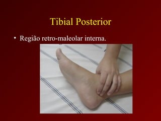 Tibial Posterior
• Região retro-maleolar interna.
 