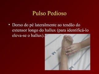 Pulso Pedioso
• Dorso do pé lateralmente ao tendão do
  extensor longo do hallux (para identificá-lo
  eleva-se o hallux).
 