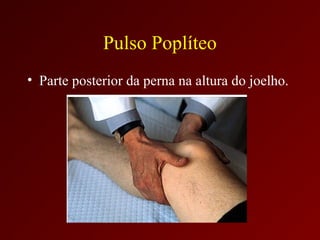 Pulso Poplíteo
• Parte posterior da perna na altura do joelho.
 