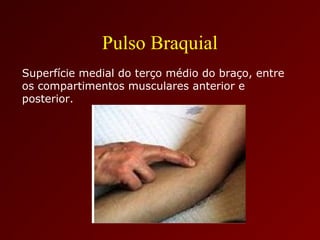 Pulso Braquial
Superfície medial do terço médio do braço, entre
os compartimentos musculares anterior e
posterior.
 