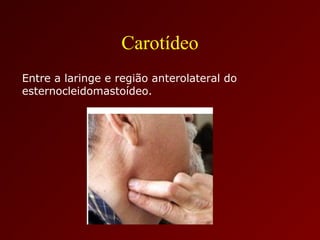 Carotídeo
Entre a laringe e região anterolateral do
esternocleidomastoídeo.
 
