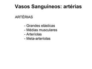 Vasos Sanguíneos: artérias
ARTÉRIAS
- Grandes elásticas
- Médias musculares
- Arteríolas
- Meta-arteríolas
 