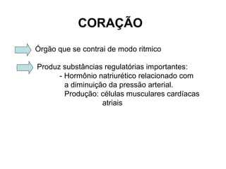 CORAÇÃO
Órgão que se contrai de modo ritmico
Produz substâncias regulatórias importantes:
- Hormônio natriurético relacionado com
a diminuição da pressão arterial.
Produção: células musculares cardíacas
atriais
 