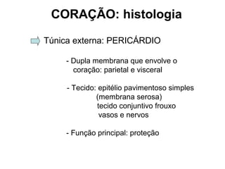 CORAÇÃO: histologia
Túnica externa: PERICÁRDIO
- Dupla membrana que envolve o
coração: parietal e visceral
- Tecido: epitélio pavimentoso simples
(membrana serosa)
tecido conjuntivo frouxo
vasos e nervos
- Função principal: proteção
 