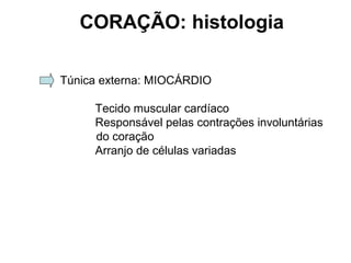 CORAÇÃO: histologia
Túnica externa: MIOCÁRDIO
Tecido muscular cardíaco
Responsável pelas contrações involuntárias
do coração
Arranjo de células variadas
 