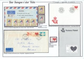 7 - Dar Sangue é dar Vida (O coração e o aparelho circulatório)