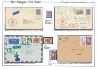 7 - Dar Sangue é dar Vida (O coração e o aparelho circulatório)