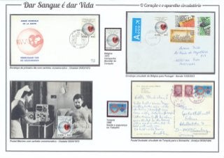 8 - Dar Sangue é dar Vida (O coração e o aparelho circulatório)