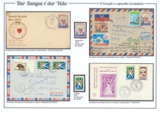 8 - Dar Sangue é dar Vida (O coração e o aparelho circulatório)